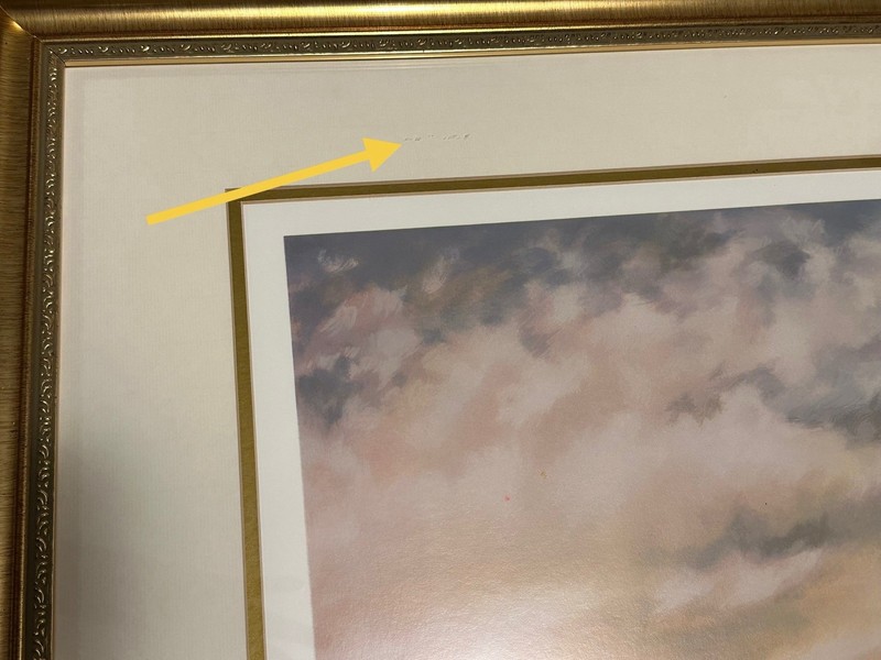 Rare Signed & Numbered David Kroll- gallery glass, double matted gorgeous frame gallery