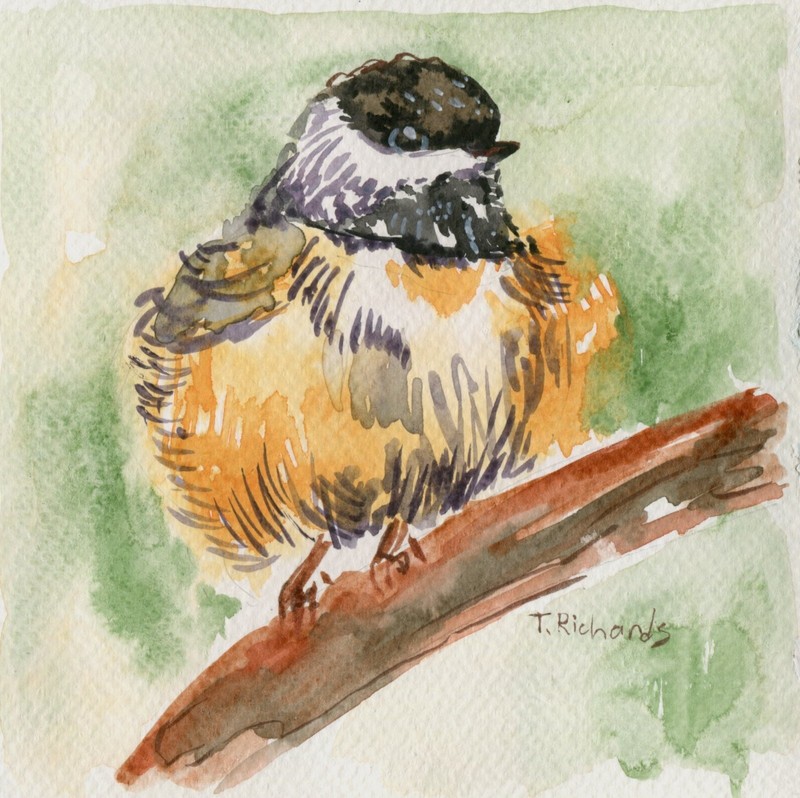 Chickadee ORIGINAL art Watercolor painting Bird wildlife artwork Signed 6×6″