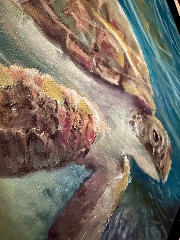 Snorkeling Megans Bay #9130 Original Oil Paintings by Janal Koenig gallery