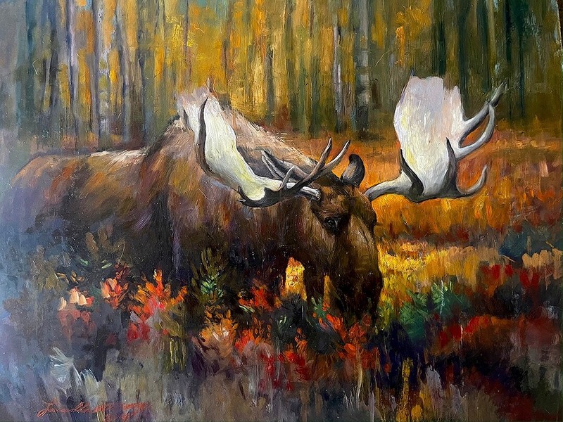 MOOSE BULL Fall Forest ORIGINAL OIL PAINTING WILDLIFE ART mountain wildlife 16x2