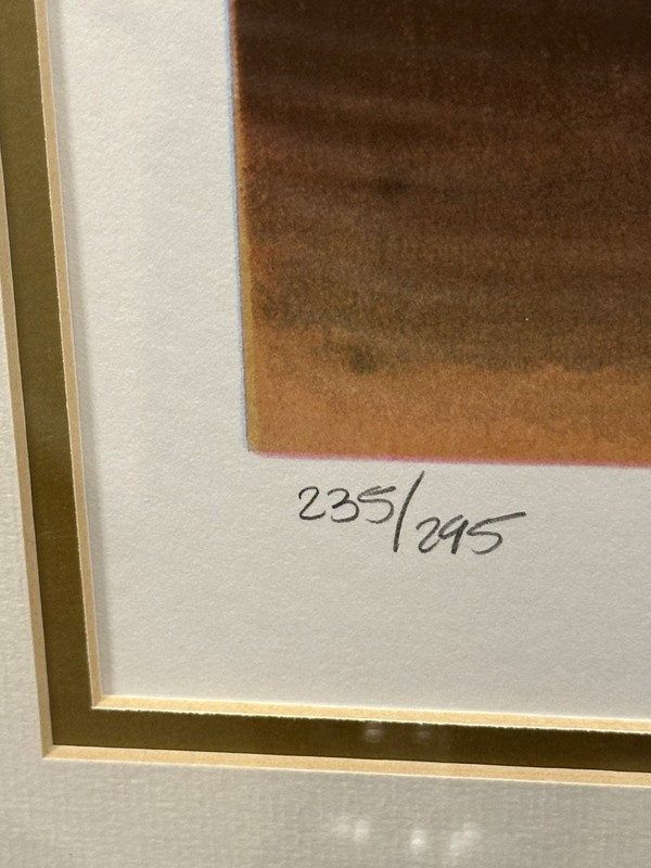Rare Signed & Numbered David Kroll- gallery glass, double matted gorgeous frame gallery