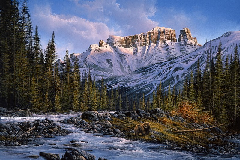 David DAASE » His Domain – Grizzly Bear » Limited Edition Canvas Mountain SIGNED