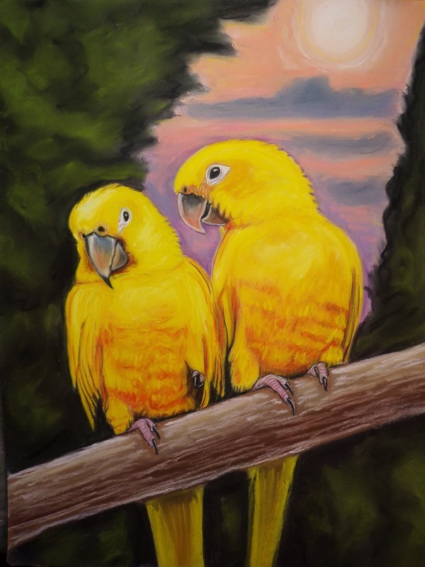 Golden conure parrot art Print