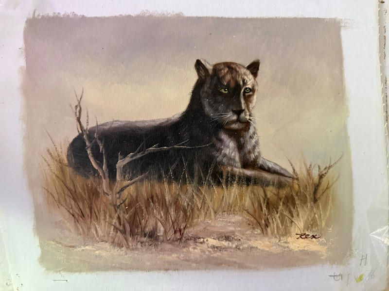 Vintage Cougar Mountain Lion Wildlife Decorative Oil Painting Art