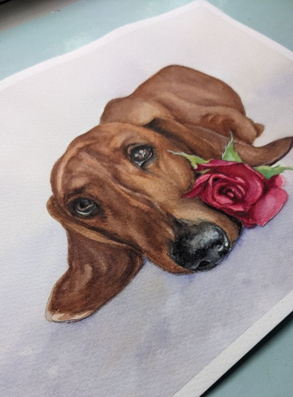 Dog Watercolor Painting Dachshund Smooth Cute Pet Animal Lover Gift A4 Art gallery