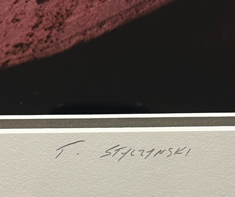 1995 THOMAS J. STYCZYNSKI "Antelope Canyon 2" Hand Signed Photograph gallery
