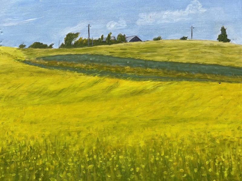 Oil Painting Realist Naturalist Wide Landscape with Rapeseed Field 47x37cm