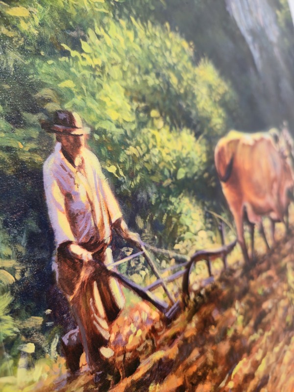 Original painting. Cuban rural landscape. Oil on canvas. 29.5 x 22 inches. gallery