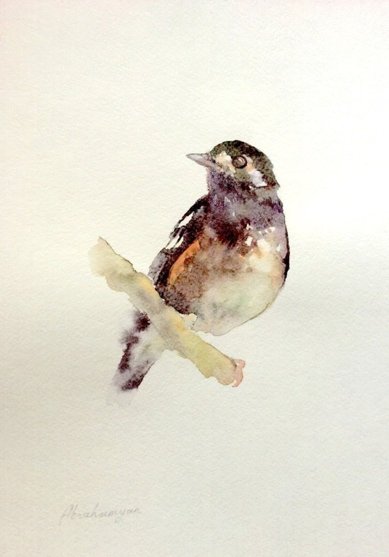 Ground Thrush, Birds, Watercolor artwork, Handmade, Original painting on paper