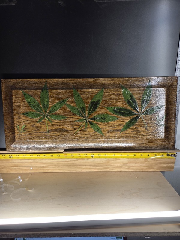 Real Weed Leaf On Wood, Marijuana Leaf Art, Potleaf Art