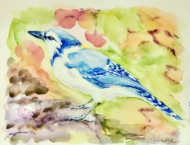 Blue Jay Bird Original Watercolor Painting
