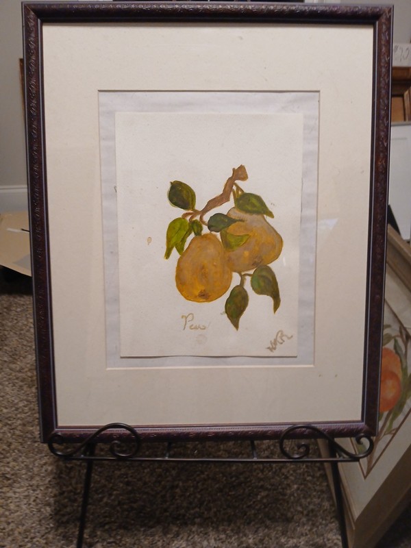 Beautiful Water Color Painting By Lala Francis «Summer Pears»