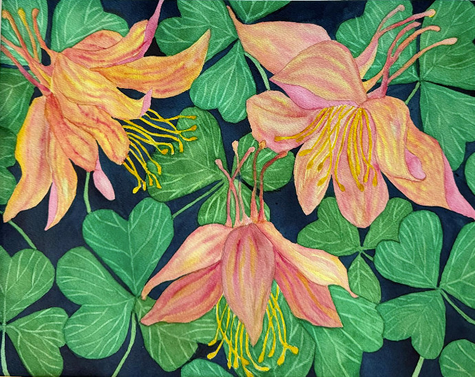 PAINTING WATERCOLOR 11X14 & MAT 16X20 FLOWER COLUMBINE PINK ORANGE ORIGINAL ART