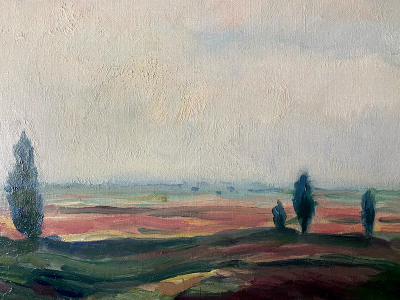 ::OIL PAINTING LANDSCAPE JUNIPER SKY ANTIQUE LÜNEBURG HEATH FRAME FIELDS gallery