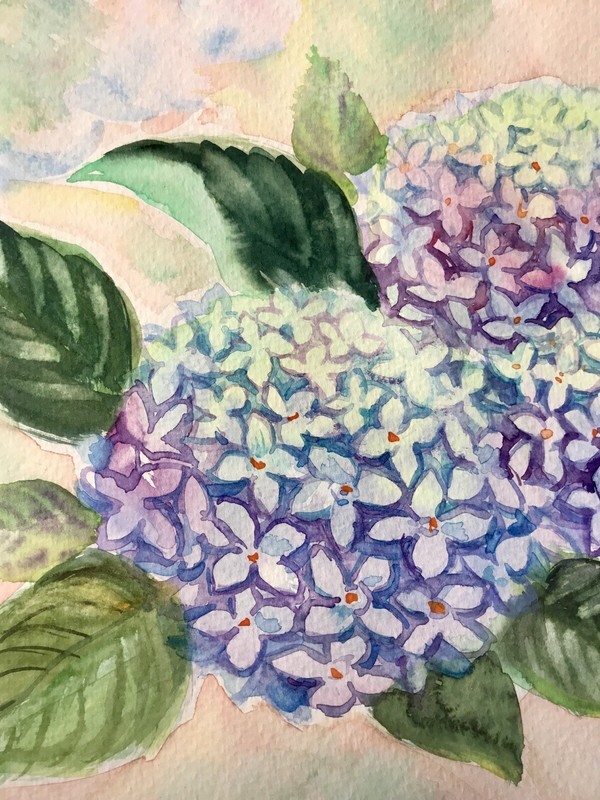 Original Watercolor. Hydrangea Flowers. Blue, Purple Floral Wall Art 9"x12" gallery