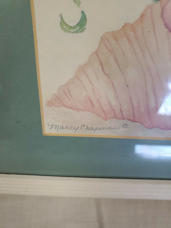 MARCY CHAPMAN SEALIFE FRAMED ART MATTED WATERCOLOR STAR FISH - CONCH SHELL gallery