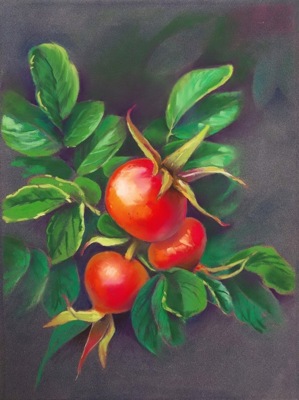 Original pastel drawing Rose hips 24×32 cm Hand drawing