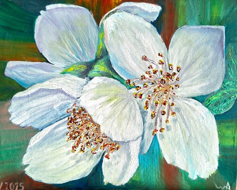 Oil painting White Jasmine flowers Original New Signed by the author 2025