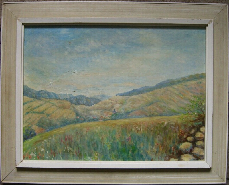 Flower Meadow Fields Mountains Summer Blooming Warm Alps Blue Sky Blue Antique
