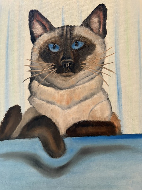 Original oil painting 11 x 14 inch Siamese cat signed canvas