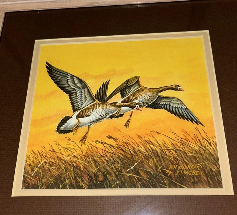 Original Rhynard Klingbeil Watercolor painting framed White-Fronted Goose gallery