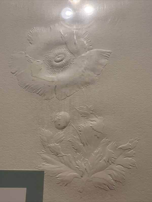 Le Anne Embossed art water color paper 14 x 18 Poppy gallery