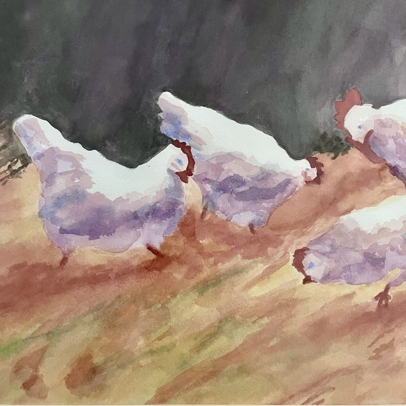 Vtg Original Framed Watercolor Painting Farm Hens Chicken Signed By L M Coffey gallery