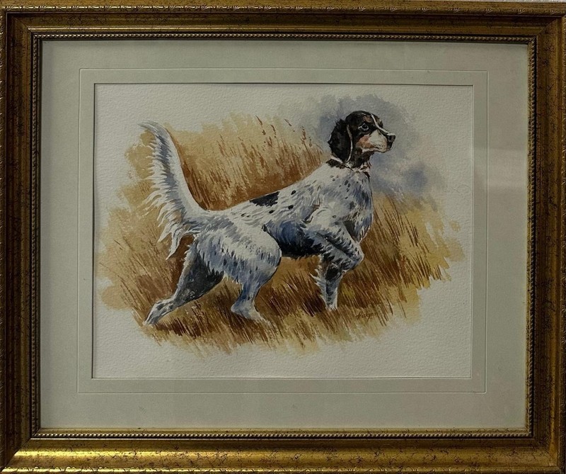 Hoskins : English Setter , Watercolor, Framed And Glazed