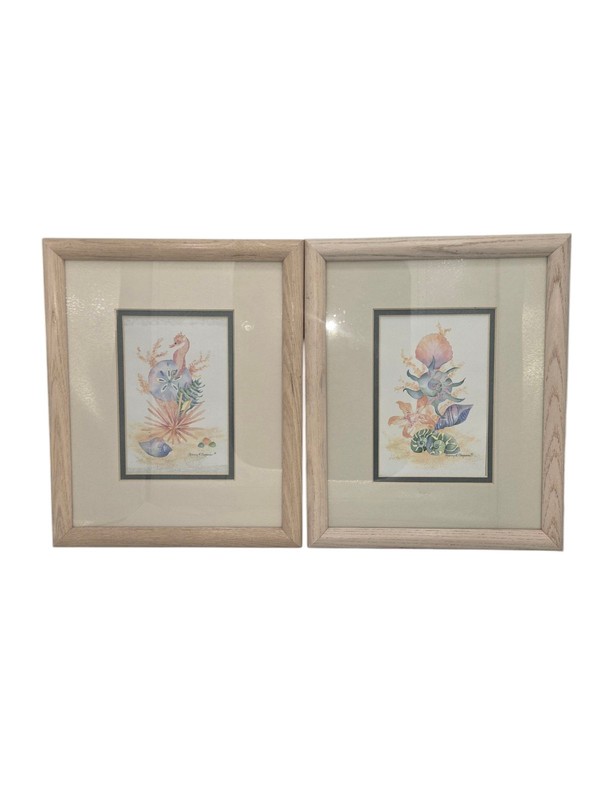 Marcy R Chapman Sea Life Coastal Watercolor Print Set of 2 8×10