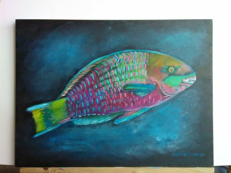 Parrotfish Sea Life Original Hand Painting 11X14 Canvas Wall Art Artwork Decor gallery