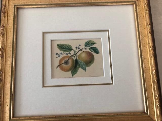 Antique English Victorian  Botanical Watercolor Flowers Fruit Apples Romantic gallery