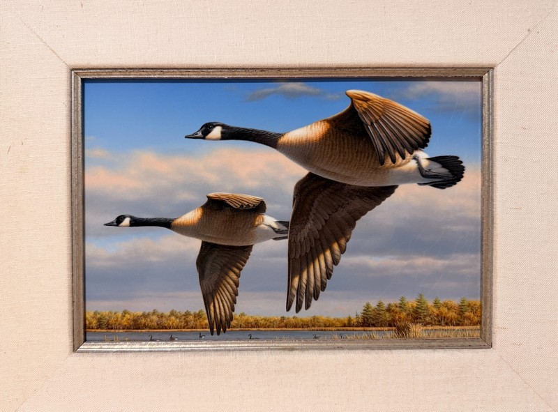 ORIGINAL Acrylic Painting by *Joe Hautman* 1996 Federal Duck Stamp Contest Entry gallery