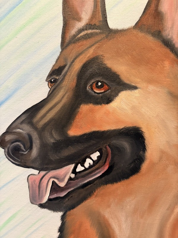 Original oil painting 11 x 14 inches handsome German Shepherd dog signed canvas gallery