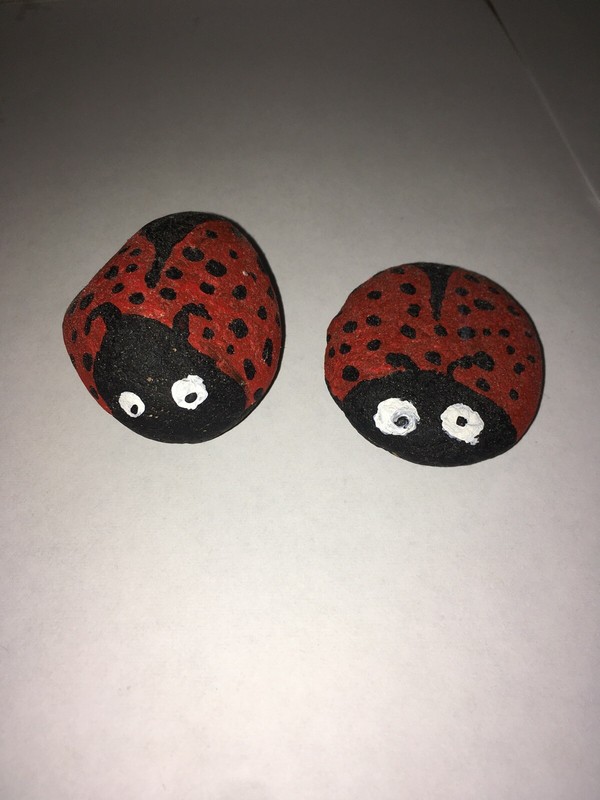 Painted Ladybugs Rocks set of Two Ladybugs gallery
