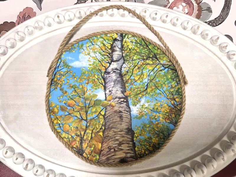 Original Painting Fall Autumn Birch Trees Acrylic Round Paper 7 Inch HandPainted