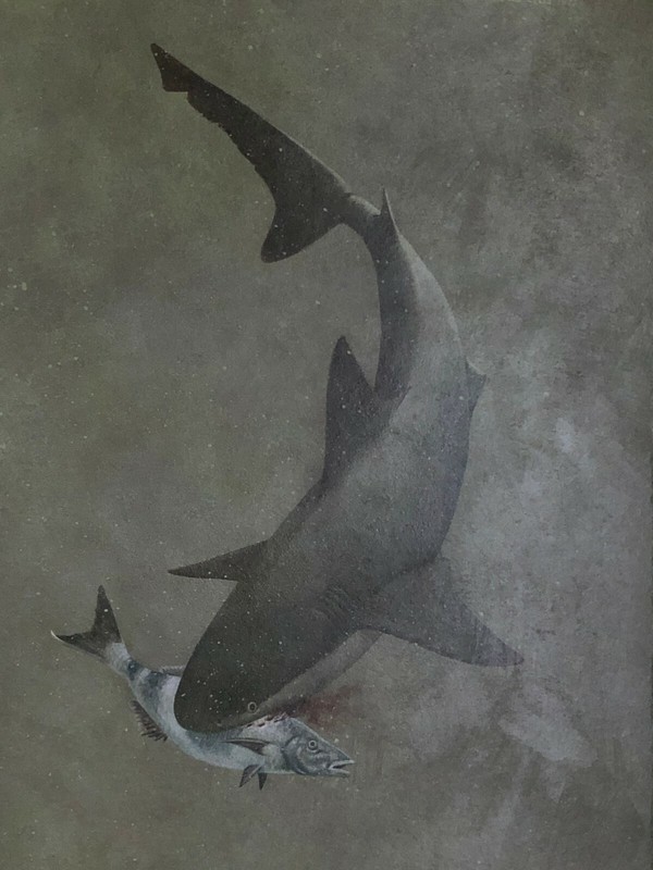 RICHARD ELLIS ORIGINAL WILDLIFE ART-WILDLIFE PAINTING-BULL SHARK-1975-L@@K!!!