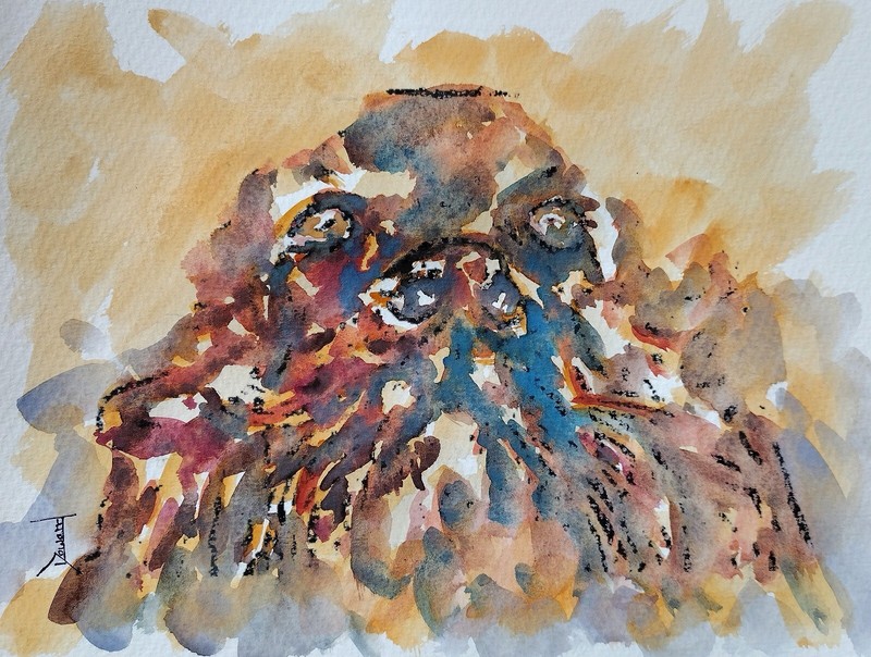 Original 8.5×11 Fine Art watercolor Painting » A persons best friend «