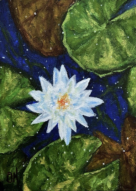 Water Lilies Acrylic Painting Original Pond Life Wall Art 5″x7″