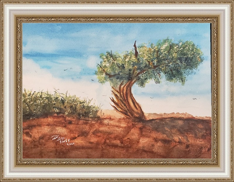 Watercolor paintings originals, «Solitary Tree in Red Rock»