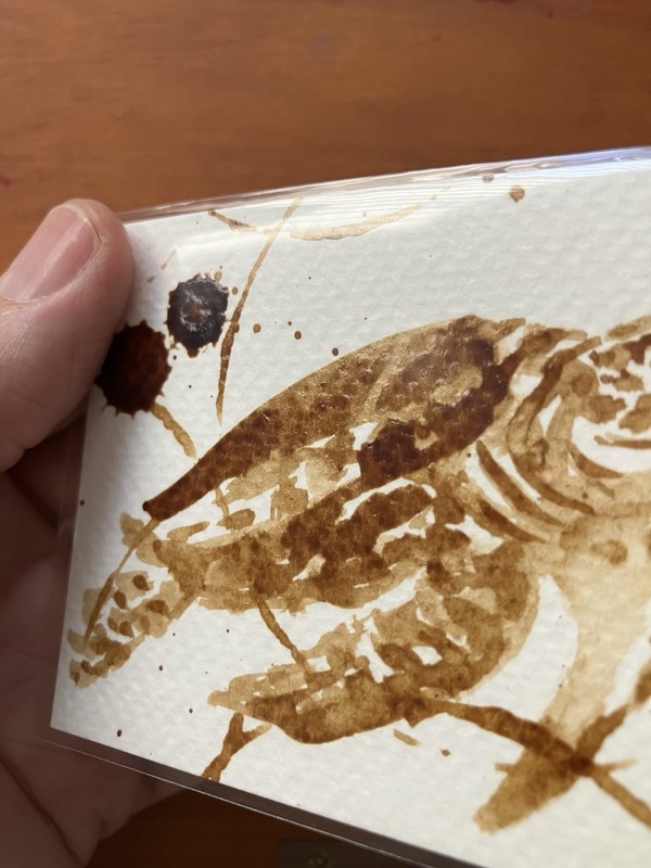 Original Coffee Sea Turtle Painting ACEO Miniature Realism ATC Art Gift Reptile gallery