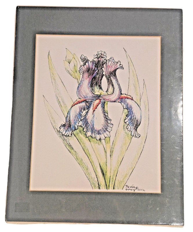 2002 Renee Gray Colored Pencil DRAWING of an IRIS Flower Signed 14″ x 11″ Matted