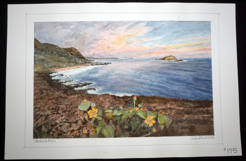 Hawaii Watercolor Painting "Makapuu w. Flowers, Oahu" by Larry Segedin #175 gallery