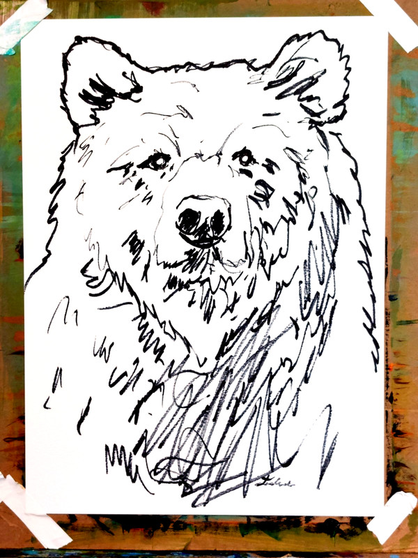 LOVELESS - "BIG BEAR" 11 X 15 Drawing on Gallery Paper gallery