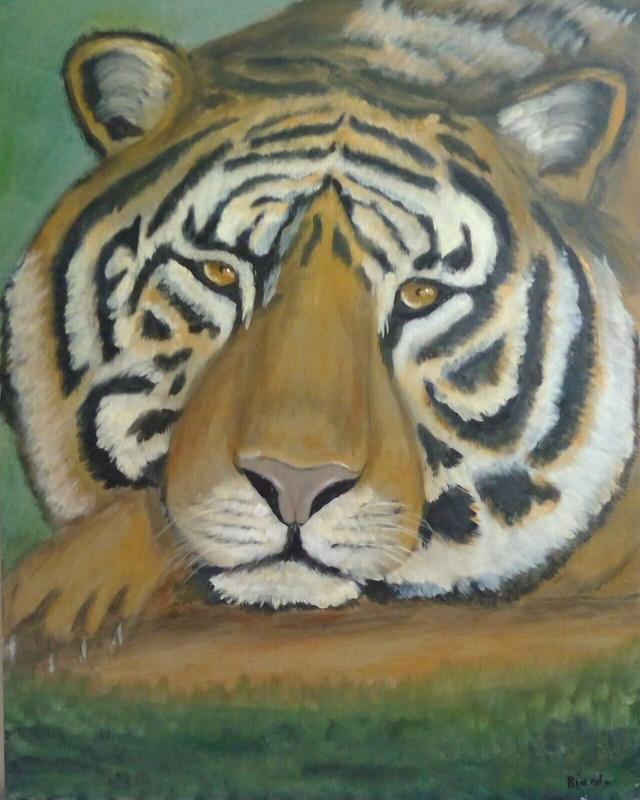Tiger at Rest Colorful Original Signed Oil Painting 18×24 Inches