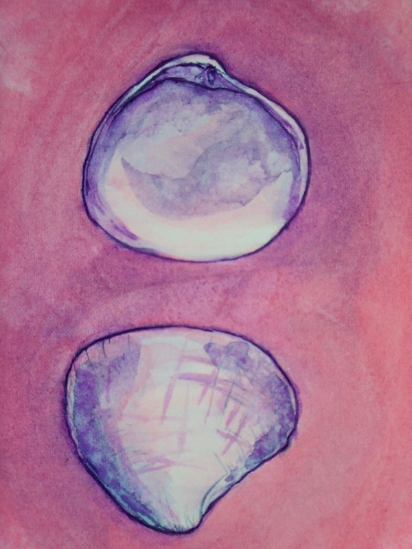 Original Watercolor Painting Seashell 7x10 Ocean Marine Nautical Shell Sea Art 1 gallery