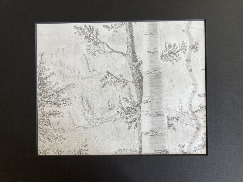 “Through The Trees” Original, graphite on paper, 7 1/2”x 9 1/2”, matted 11”x14”