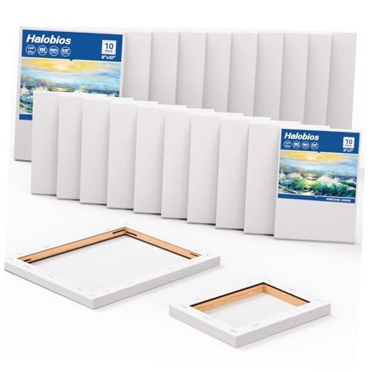 20 Packs Professional Stretched Canvas for Painting with 5 * 20 Mixed Packs