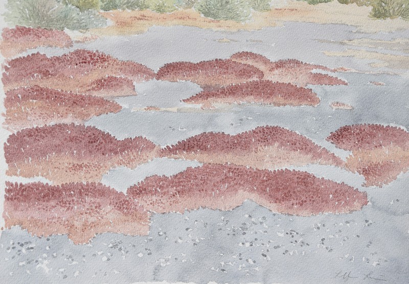 Lothar Braun * 1931 Duisburg / watercolor around 1980 / mountains palms Arizona Krefeld gallery