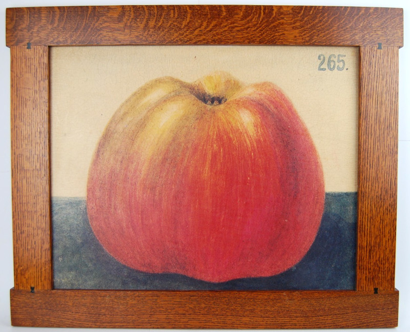 Vtg 80s Oak Framed Naive Folk Art Canvas Art Print «Upside Down Apple 265» 20X16