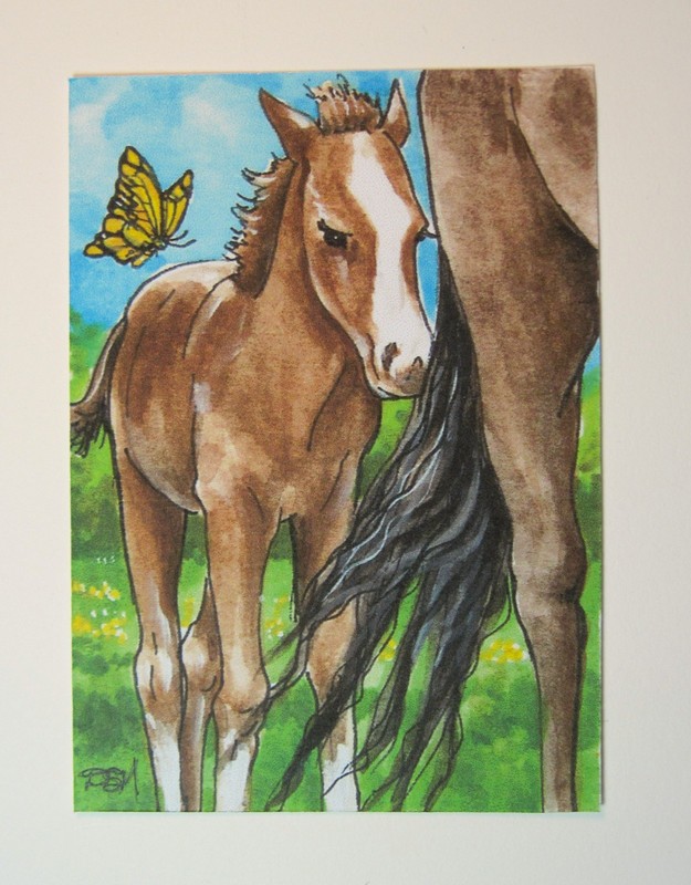 Horses Foal ACEO Title: STAY CLOSE Horses mom foal Collectable PRINT Limited Ed.